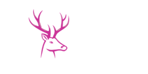 Pink Crossbow Favicon