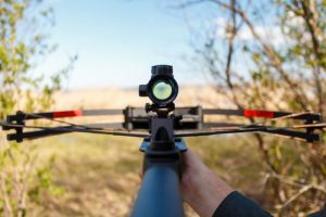 Best Bow Sights to Help You Achieve the Perfect Shot
