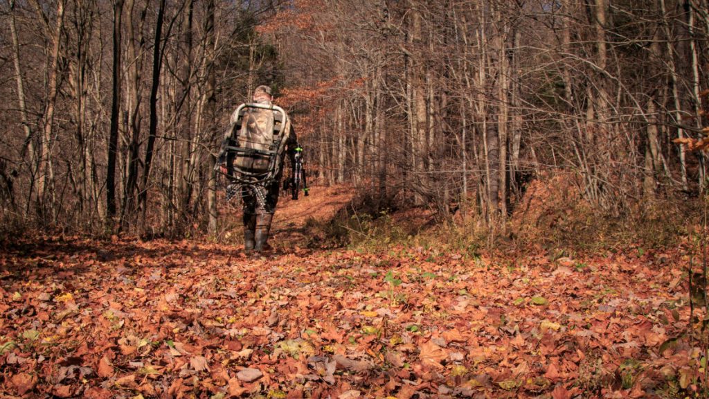 Best Rangefinders for Bow Hunting